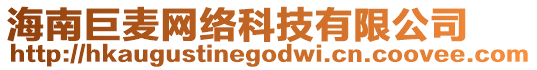 海南巨麥網(wǎng)絡(luò)科技有限公司