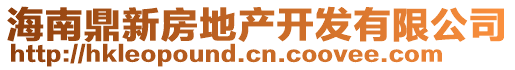 海南鼎新房地產(chǎn)開發(fā)有限公司