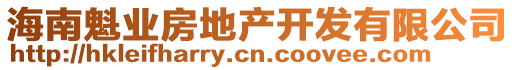 海南魁業(yè)房地產(chǎn)開發(fā)有限公司