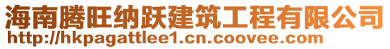 海南騰旺納躍建筑工程有限公司