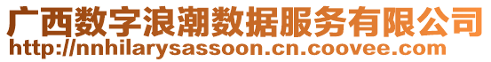 廣西數(shù)字浪潮數(shù)據(jù)服務(wù)有限公司