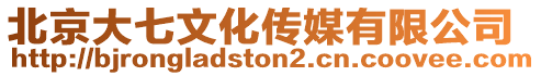 北京大七文化傳媒有限公司