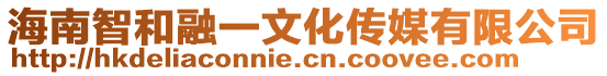 海南智和融一文化傳媒有限公司