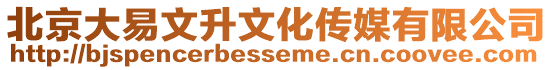 北京大易文升文化傳媒有限公司