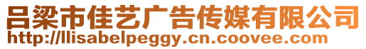 呂梁市佳藝廣告?zhèn)髅接邢薰? style=