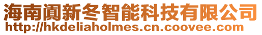 海南闐新冬智能科技有限公司