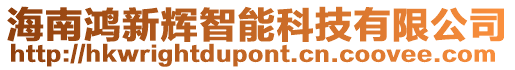 海南鴻新輝智能科技有限公司