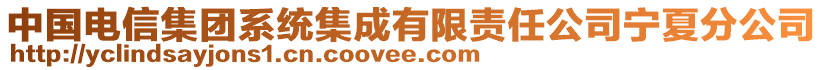 中國電信集團系統(tǒng)集成有限責任公司寧夏分公司