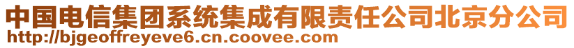 中國電信集團(tuán)系統(tǒng)集成有限責(zé)任公司北京分公司