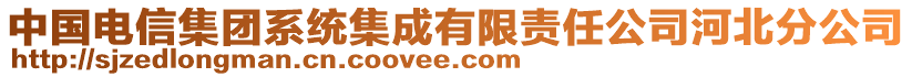 中國電信集團(tuán)系統(tǒng)集成有限責(zé)任公司河北分公司