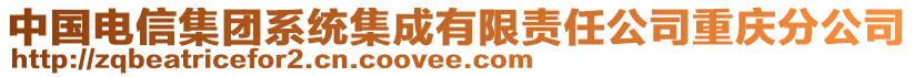 中國(guó)電信集團(tuán)系統(tǒng)集成有限責(zé)任公司重慶分公司