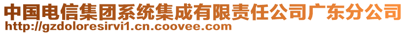 中國(guó)電信集團(tuán)系統(tǒng)集成有限責(zé)任公司廣東分公司