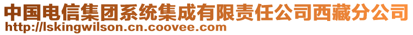 中國(guó)電信集團(tuán)系統(tǒng)集成有限責(zé)任公司西藏分公司