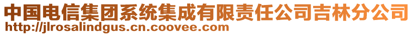 中國電信集團(tuán)系統(tǒng)集成有限責(zé)任公司吉林分公司