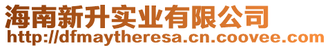 海南新升實業(yè)有限公司