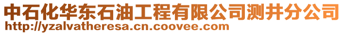 中石化華東石油工程有限公司測(cè)井分公司