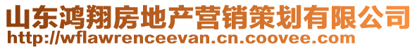 山東鴻翔房地產(chǎn)營(yíng)銷策劃有限公司