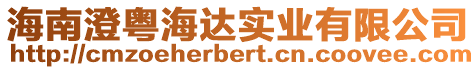 海南澄粵海達實業(yè)有限公司