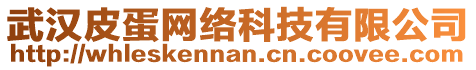 武漢皮蛋網(wǎng)絡(luò)科技有限公司