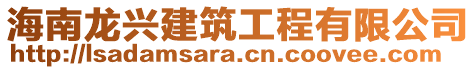 海南龍興建筑工程有限公司