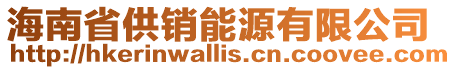 海南省供銷能源有限公司