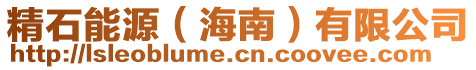 精石能源(海南)有限公司