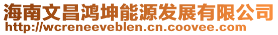 海南文昌鴻坤能源發(fā)展有限公司