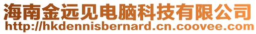 海南金遠(yuǎn)見電腦科技有限公司