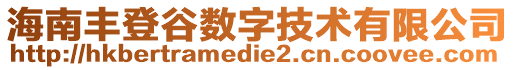 海南豐登谷數(shù)字技術(shù)有限公司