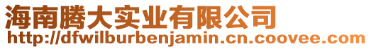 海南騰大實業有限公司