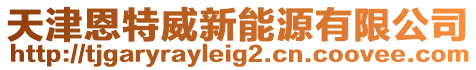 天津恩特威新能源有限公司