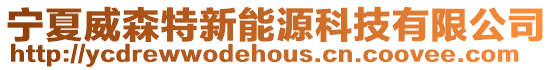 寧夏威森特新能源科技有限公司