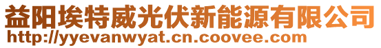 益陽埃特威光伏新能源有限公司