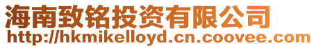 海南致銘投資有限公司