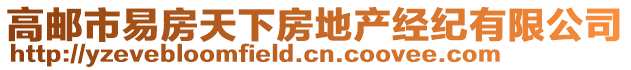 高郵市易房天下房地產(chǎn)經(jīng)紀(jì)有限公司