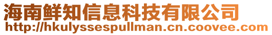 海南鮮知信息科技有限公司