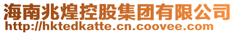海南兆煌控股集團(tuán)有限公司