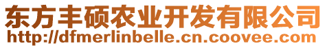 東方豐碩農(nóng)業(yè)開發(fā)有限公司