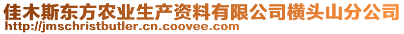 佳木斯东方农业生产资料有限公司横头山分公司