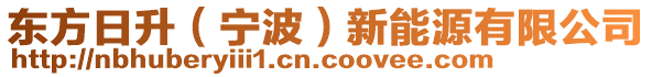 東方日升（寧波）新能源有限公司