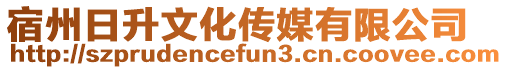 宿州日升文化傳媒有限公司