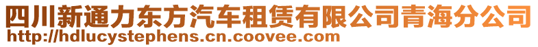 四川新通力東方汽車租賃有限公司青海分公司