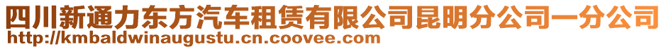 四川新通力東方汽車租賃有限公司昆明分公司一分公司