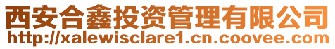 西安合鑫投資管理有限公司