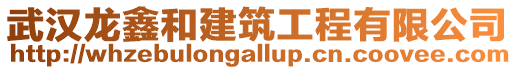 武漢龍鑫和建筑工程有限公司