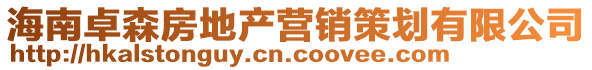 海南卓森房地產(chǎn)營(yíng)銷策劃有限公司