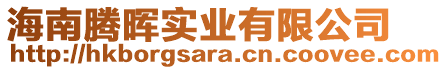 海南騰暉實(shí)業(yè)有限公司