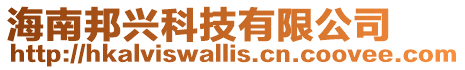 海南邦興科技有限公司