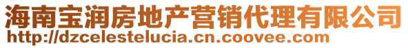 海南寶潤房地產(chǎn)營銷代理有限公司