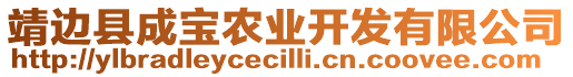 靖邊縣成寶農(nóng)業(yè)開發(fā)有限公司